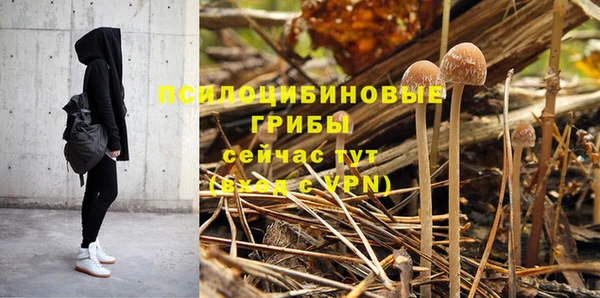 хмурый Армянск