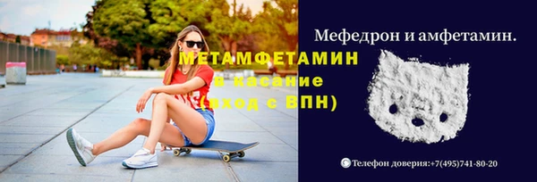 индика Аркадак