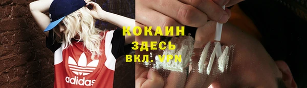 индика Аркадак