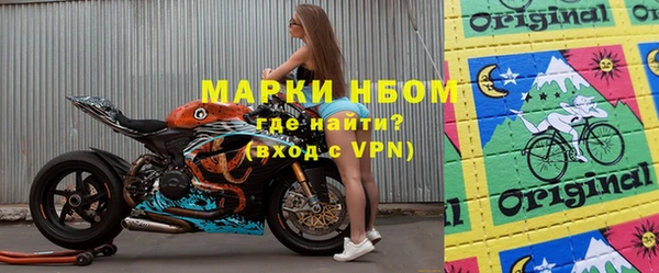индика Аркадак