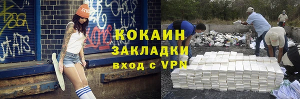 индика Аркадак