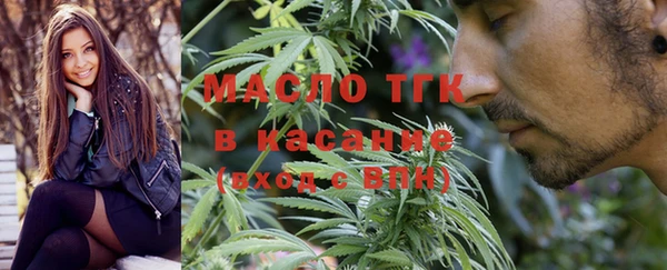 индика Аркадак